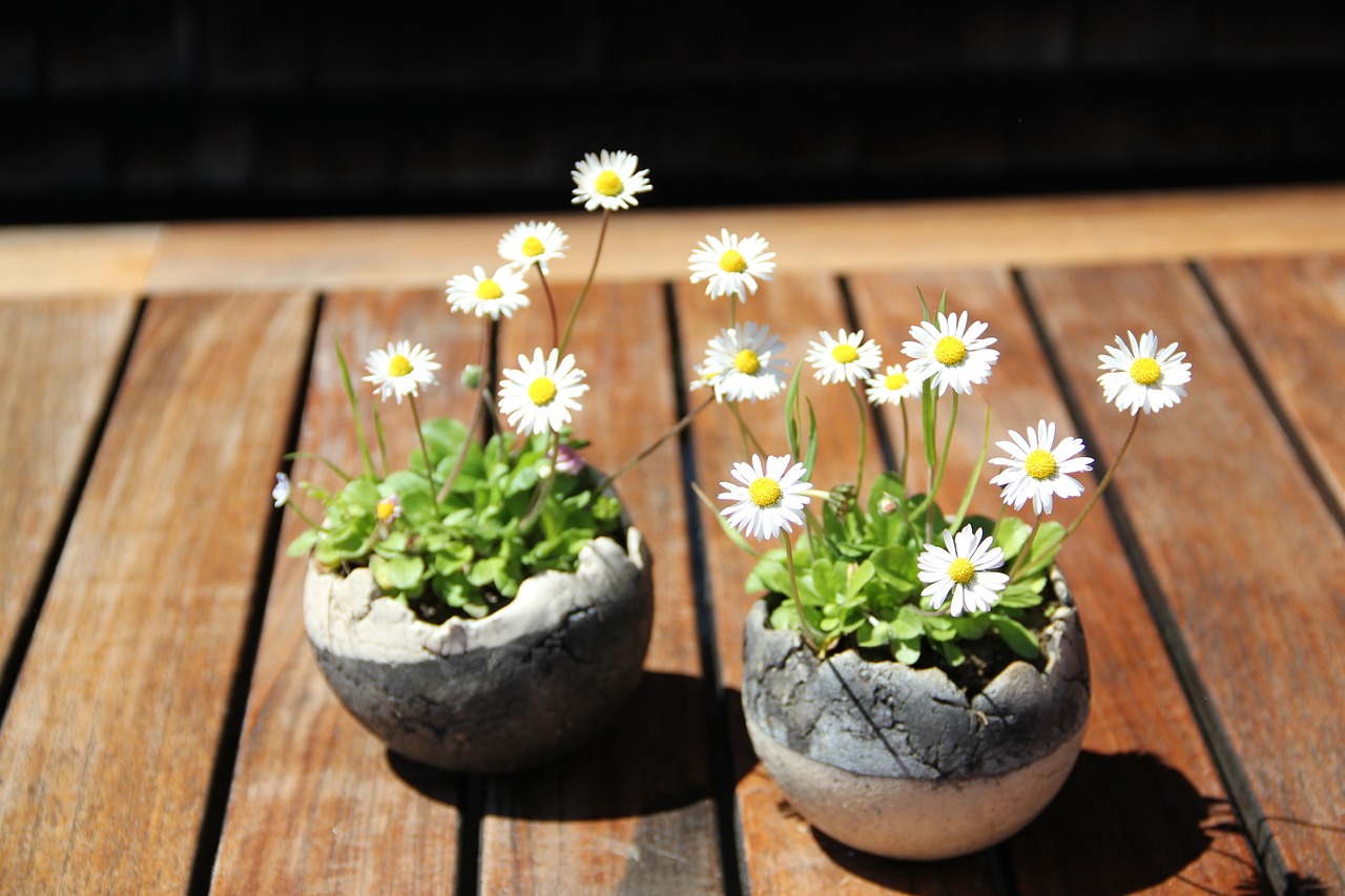Creating a Perfect Pottery Plan for Beginners